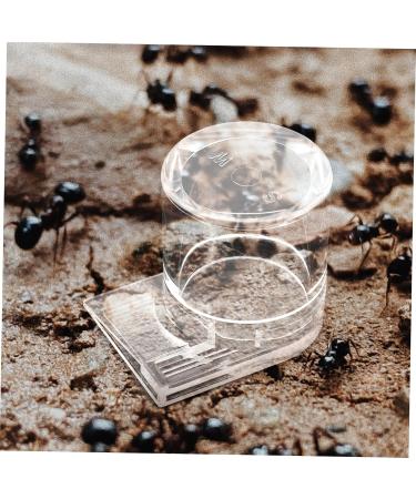Toddmomy Pet Water Feeder Ant Water Drinking Cup Ant Watering Cup Ants Waterer Ant Feed Bowl to Feed Animal - Buy Online on GoSupps.com