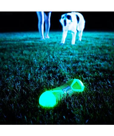 Chuckit! CH32308 Tumble Bumper Max Glow - Medium Orange Dog Toy for International Shipping - Buy Online on GoSupps.com