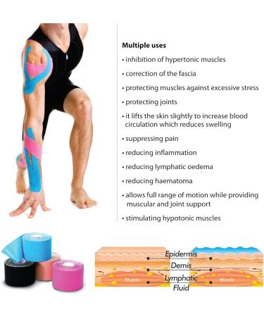 3-Pack Kinesiology Tape Pro Athletic Sports - Knee Ankle Muscle Support - Dynamic Physical Therapy - Breathable Waterproof Cotton - 2in x 16.4ft Roll - Buy Online on GoSupps.com