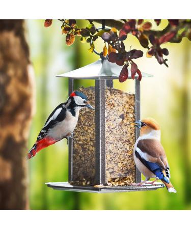 Paul's M hle Deluxe Wild Bird Food 10 kg - Premium Bird Feed for Wild Birds - Buy Online on GoSupps.com