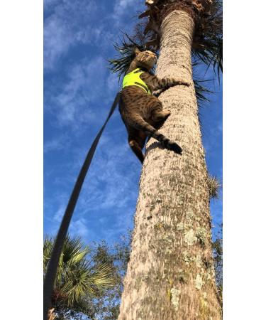 Mynwood Cat Jacket/Harness High Viz Adult Cat - Buy Online on GoSupps.com