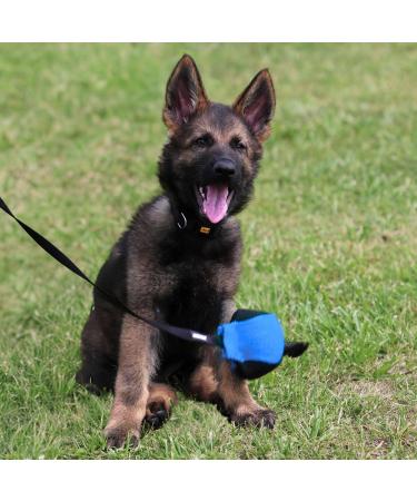 Dingo Gear 9 cm Training Toy Ball - Black & Blue with 65 cm Handle | French Nylcott IGP Obedience Game - Small Ball for Dogs - Buy Online on GoSupps.com