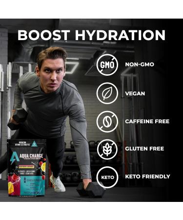 Grab The Gold Aqua Charge Electrolytes Drink Mix | Naturally Flavored Sugar-Free Hydration Drinks with B Vitamins | Vegan Gluten-Free Non-GMO | Raspberry Lemonade - 16 Packs - Buy Online on GoSupps.com