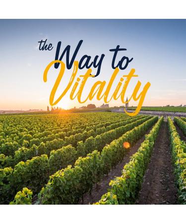 Vitalitown Ultra Magnesium & Vitamin D3 K2 Bundle (Pack of 2) | 10 in 1 Magnesium Complex & 10000 IU D3 MK-7 | for Bone Muscle Heart Sleep Teeth & Immune| 90 Mag Capsules & 90 D3 Softgels - Buy Online on GoSupps.com