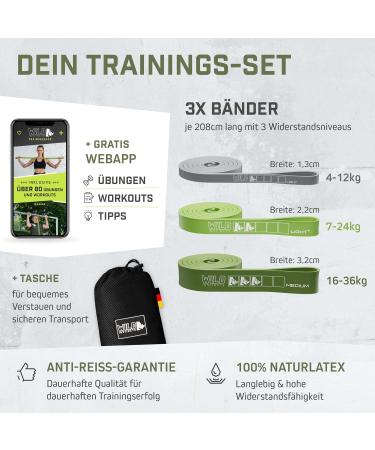 Wild Instincts Premium Resistance Straps for Strength Training & Pull-Ups | CrossFit & Stretching Bands Set with Bag & Training App (Light Light+ Medium) - Buy Online on GoSupps.com