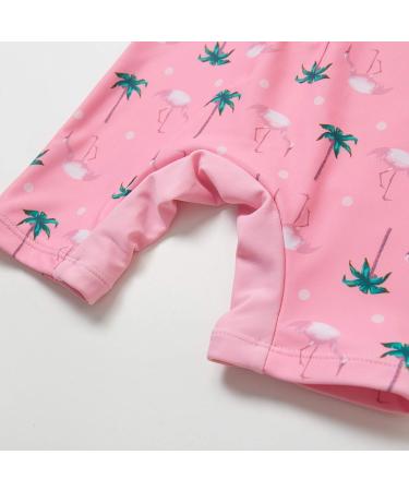 Bonverano Baby Girls Long Sleeve Swimsuit UPF 50+ Sun Protection Pink Coco 18-24 Months - Buy Online on GoSupps.com