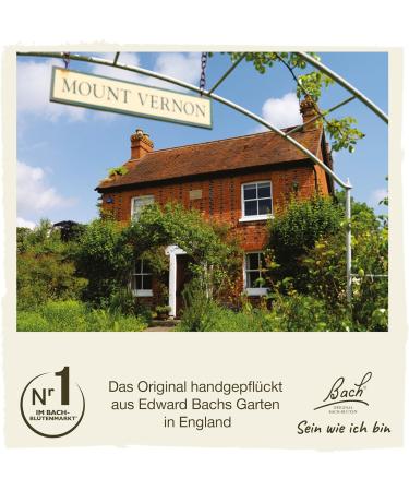 Original Bach Flower Drops No. 32 Vine - Reduce Dominance & Enhance Harmony | 20ml International Shipping - Buy Online on GoSupps.com