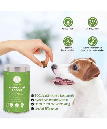 Animal Vita Digestive Snacks for Dogs - Probiotics 100% Natural Grain & Sugar-Free Treats (250g) - Optimize Gut Health! - Buy Online on GoSupps.com