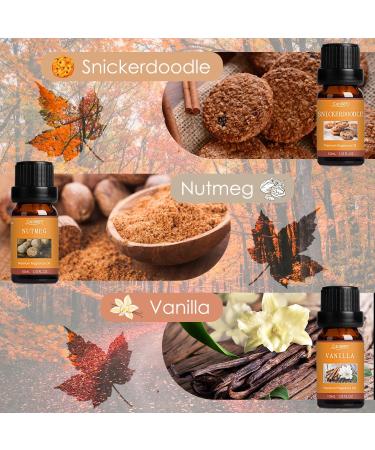 Buy SALUBRITO Fall Fragrance Oils Set - Autumn Essential Oils for Diffuser & Candle Making | Cinnamon Pumpkin Spice Vanilla & More | 6x10ml Aromatherapy Gift - Buy Online on GoSupps.com