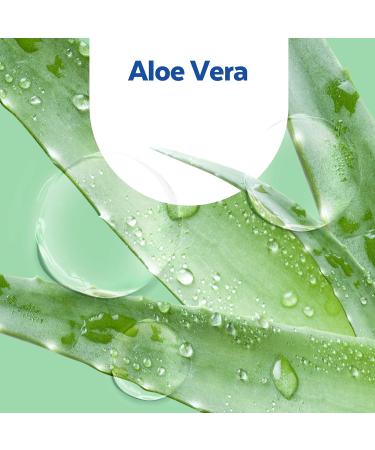 Sagrotan Hand Soap Refill Aloe Vera 6 x 500 ml | Moisturizing Liquid Soap for Healthy Hands | International Shipping Available - Buy Online on GoSupps.com