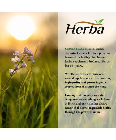 Herba Aronia Berry Extract 120 Capsules | 7 500mg Equivalent Per Capsule - 30:1 Extract | Black Chokeberry Supplement | 100% Natural Aronia Berry Powder in Vegetable Capsule | Made in Canada - Buy Online on GoSupps.com