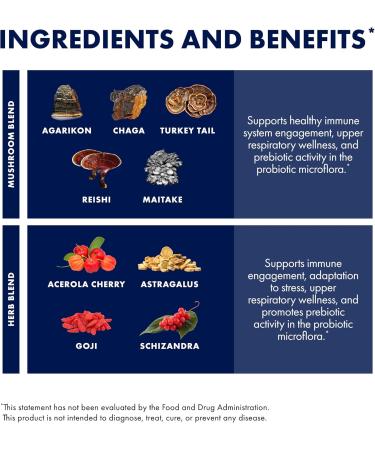 Host Defense MycoBotanicals Immune* Powder - Immune System Powder - Immune & Gut Health Support Supplement - Herbal Powder Supplement with Chaga Reishi & Turkey Tail - 3.5 oz (32 Servings)* - Buy Online on GoSupps.com