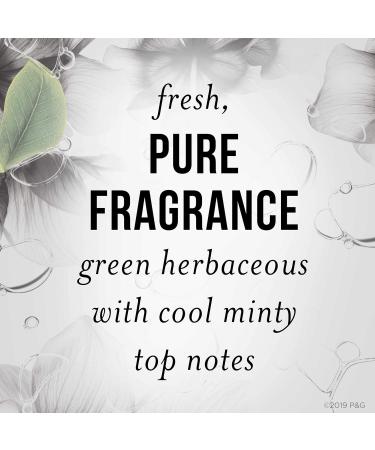 Pantene Nutrient Blends Deep Detox & Renew Clarifying Silicone free Charcoal Conditioner 237 Milliliters - Buy Online on GoSupps.com