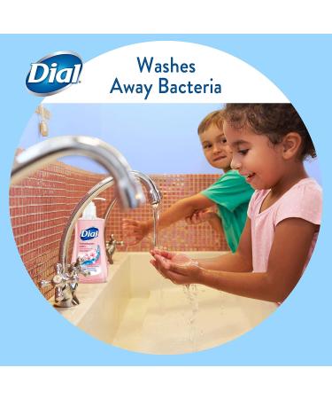 Dial Liquid Hand Soap Himalayan Pink Salt & Water Lily 7.5oz - Pack of 1 - Buy Online on GoSupps.com