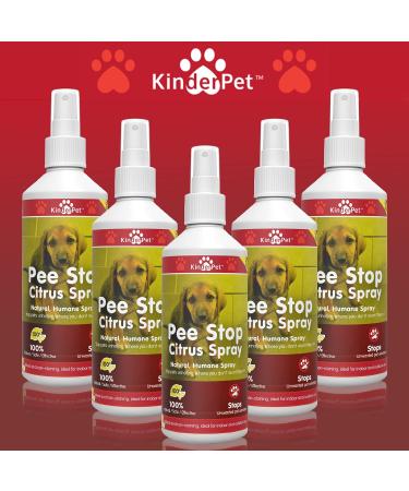KinderPet Pee Stop Spray Urine Stop for Cat and Dog Repellent Stop Cats and Dogs Repeat Marking Indoors and Outdoors 100% Natural Enzyme Urine Destroyer 250ml - Buy Online on GoSupps.com