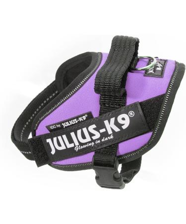Buy IDC Powerharness S/Mini - Violet | Best International Shipping for Pet Accessories - Buy Online on GoSupps.com