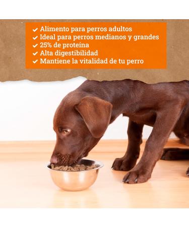 Yerbero Nature Chicken and Rice Premium Dog Food 10 kg - Buy Online on GoSupps.com