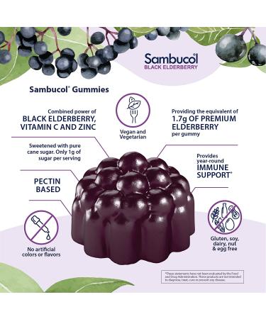 Sambucol Black Elderberry Gummies - 30 Count | Immune Support & Antioxidants - Buy Online on GoSupps.com