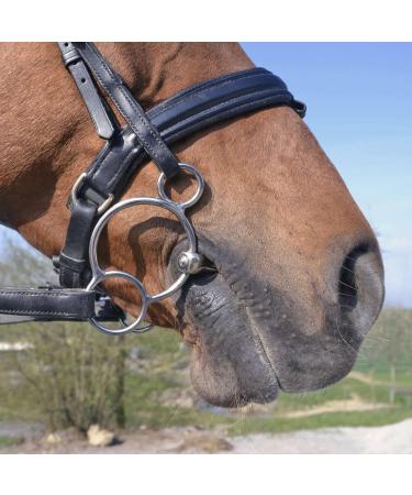 Buy Sprenger Stainless Steel 3-Ring Bridle TURNADO 12.5 | International Shipping Available - Buy Online on GoSupps.com