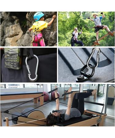 SpotDoo 304 Stainless Steel Locking Carabiner Clip - Heavy Duty Spring Snap Hook (4 Inch) - M10 - Buy Online on GoSupps.com