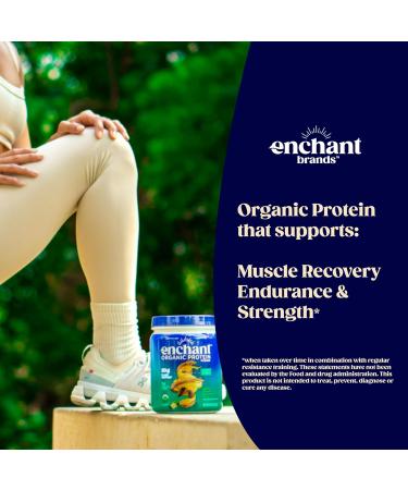 Enchant Organic Protein Powder Vanilla Almond flavor 20g Plant Protein sourced from North American Farms 5g Prebiotic + fiber USDA Organic Non-GMO Plant-based Non-Dairy Vegan 0.84 lb - Buy Online on GoSupps.com