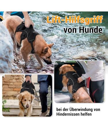 Buy Rabbitgoo No-Pull Dog Harness with Handle | Adjustable Vest for Large Dogs | Safe Control & Comfort | Outdoor Training | 1 Pack - Black - Buy Online on GoSupps.com