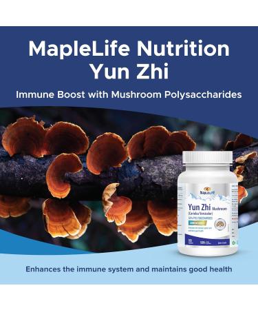 Yunzhi Mushroom 400mg for immune system - 100 Capsules - Buy Online on GoSupps.com