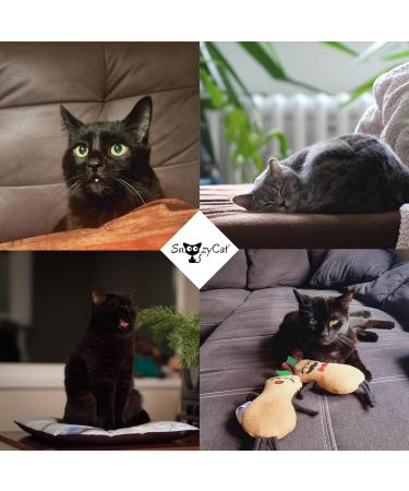 Snoozycat Refillable Valerian Pillow for Cats - 2 Pieces with 4 Organic Cat Valerian Refill Pads | Handmade & Washable Cotton - Buy Online on GoSupps.com