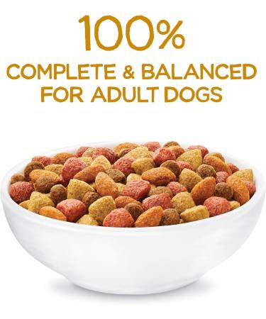 Beneful Originals Dry Dog Food Real Chicken - 12.7 kg Bag 1.27 kg (Pack of 1) - Buy Online on GoSupps.com