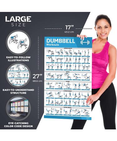 16-Pack Large Workout Poster Set - Dumbbell, Yoga, Resistance Band, Kettlebell & Stretching Exercise Charts for Home Gym - Buy Online on GoSupps.com