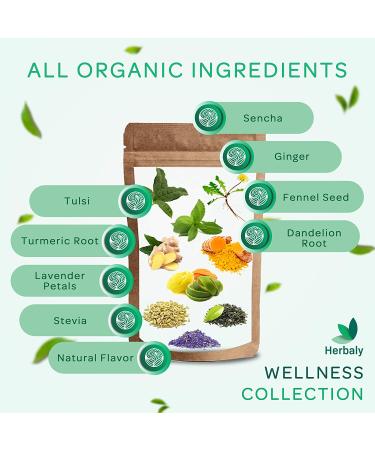 Organic Herbal Ginger Tea 70g - Herbaly Wellness Collection - 28 Count Bag - Buy Online on GoSupps.com