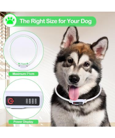 Shop Luminaire LED Dog Collar - USB Rechargeable Waterproof Adjustable | 3 Lighting Modes for Small & Medium Dogs & Cats - Green - Buy Online on GoSupps.com