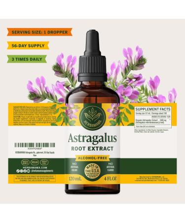 HERBAMAMA Astragalus Root Tincture - Vegan Immune Support with Astragalus Extract Drops - Non-GMO Alcohol & Sugar-Free Liquid Supplement 56-Day Supply 4 Fl Oz (Pack of 1) - Buy Online on GoSupps.com