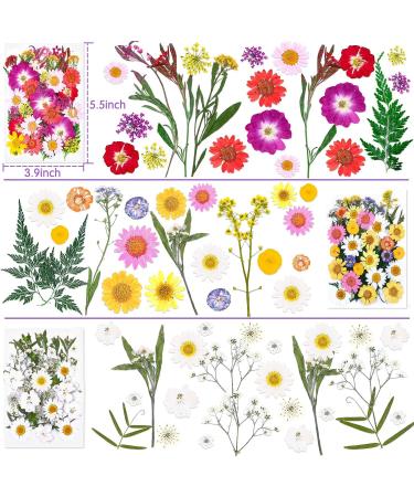 Dried Flowers and Leaves Kit for Resin Molds - 120 PCS with Tweezers for DIY Art, Crafts, Candle & Jewelry Making, Scrapbooking, Nail Art - Natural Pressed Floral Embellishments - Buy Online on GoSupps.com