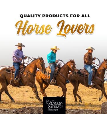 Colorado Saddlery Men's Night Hawk Spurs - Premium Western Spurs for Authentic Cowboys - Buy Online on GoSupps.com