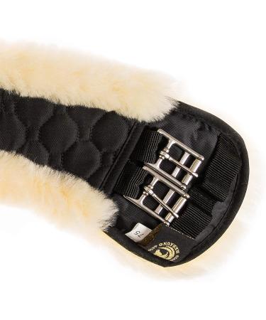 Merauno Lamb Wool Moon Belt Saddle Belt - Short Dressage Belt | Anatomically Concave Shape | Quality Merino Wool | Available in Nature Black Brown Anthracite - 75cm - Buy Online on GoSupps.com