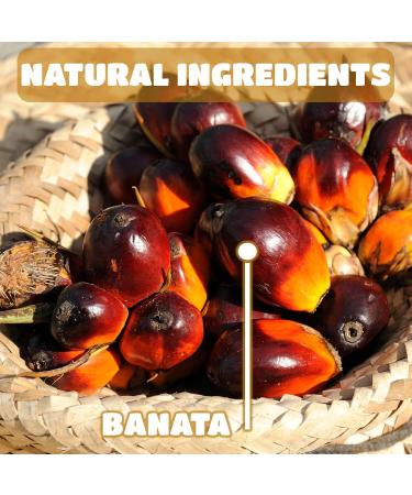 Buy 100% Natural Batana Oil for Hair Growth - Dr. Sebi Inspired Prevent Hair Loss & Enhance Thickness - Raw from Honduras - Buy Online on GoSupps.com