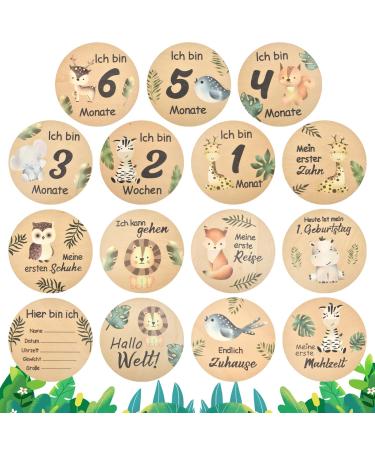 Funmo 15 Pieces Baby Monthly Cards Baby Milestone Cards 10cm Round Wooden Baby Monthly Milestone Cards Newborn Photography Prop Double Sided for Baby Shower Pregnancy Journey Birth Announcement