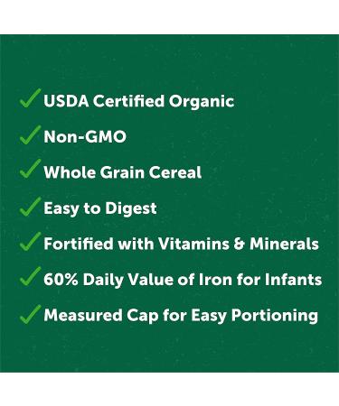 Beech-Nut Organic Oatmeal Baby Cereal Stage 1 - 8 oz Canister (6 Pack) - Buy Online on GoSupps.com