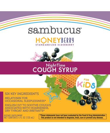 Nature's Way Sambucus Kids Nighttime Cough Syrup - HoneyBerry Flavor, 4 fl oz - Buy Online on GoSupps.com