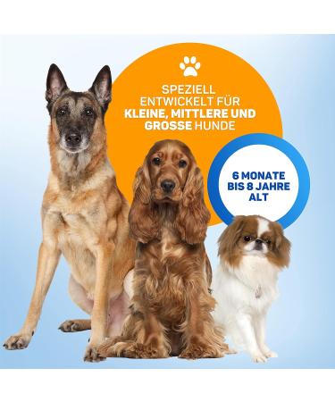 Vulpes Goods Anti Bark Device - Ultrasonic Dog Trainer with LED & 10m Range | Stop Barking Safely - Buy Online on GoSupps.com