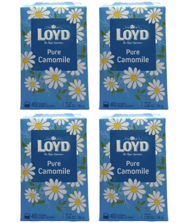 Loyd Tea 40 Teabag X4 Pure Camomile Flavour 160 Total Herbal Infusion Tea Drink Home Office Work