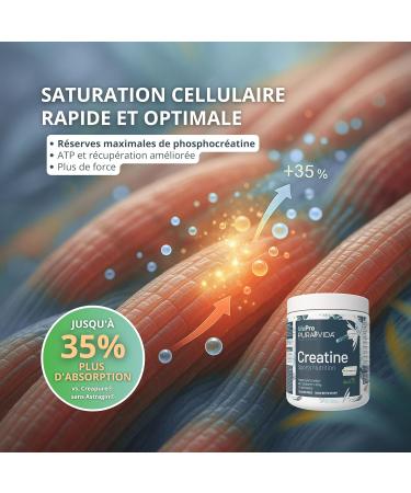 Creatine Monohydrate Creapure avec AstraGin Jusqu 35% d Absorption en Plus vs Creapure Seule Micronis e Sans Go t 4 Mois V gan Sans Gluten Qualit Allemande Garantie - Buy Online on GoSupps.com