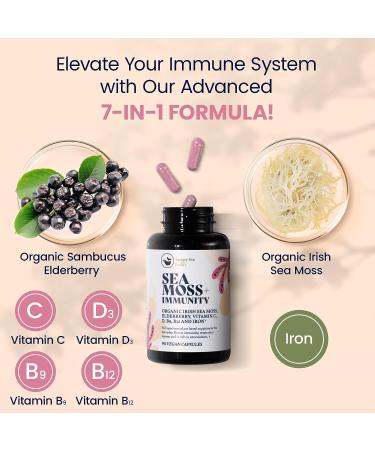 HAPPY FOX Irish Sea Moss Capsules with Elderberry, Vitamin C, D3, B9, B12 & Iron - 90ct | Organic Superfood for Thyroid & Immune Support, Natural Energy, Gut, Skin & Joint Health - Buy Online on GoSupps.com
