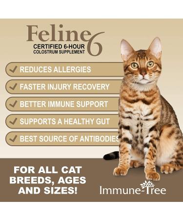Colostrum Probiotic Powder for Cats | Allergy & Immune Support | Skin & Coat Relief | Made in USA | 1.55oz - Buy Online on GoSupps.com
