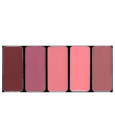L'Oreal Paris Colour Riche La Palette Lip Nude - 0.15 oz | Long-Lasting Shades - Buy Online on GoSupps.com