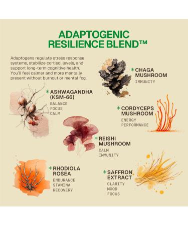 HEAD-START Sunrise Capsules | Nootropic Brain Supplement with Lion s Mane, L-Theanine & Saffron | Adaptogen Blend for Focus, Energy, Clarity & Daily Performance 1 - Buy Online on GoSupps.com