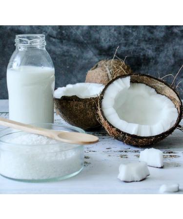 Buy 6 x Organic Coconut Milk 270 ml | Fairtrade Original | Sri Lanka | Ideal for Asian Dishes | 100% Organic & Natural - Buy Online on GoSupps.com