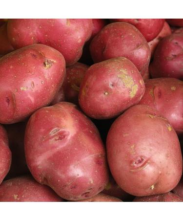 Red Potatoes, 10 lb