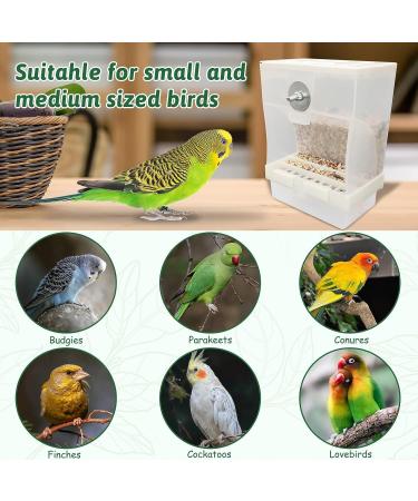 Komunj Transparent Food Dispenser for Budgies Canaries Nymphensitties & Finches Durable Seed Container - Buy Online on GoSupps.com